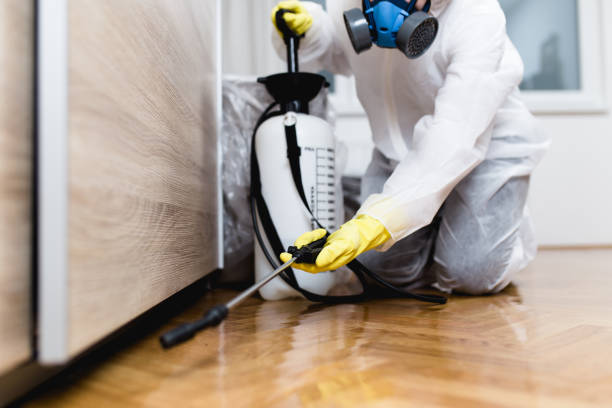 Best Pest Control for Businesses  in Wrightwood, CA