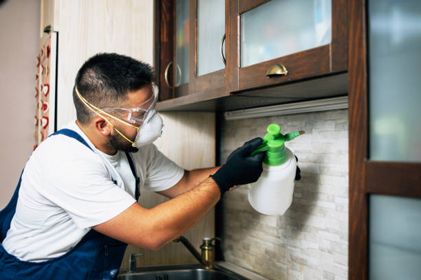Best Insect Control  in Wrightwood, CA