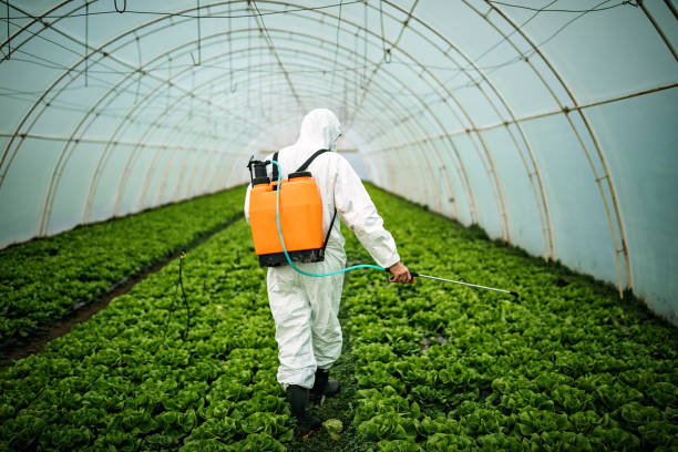 Best Residential Pest Control  in Wrightwood, CA