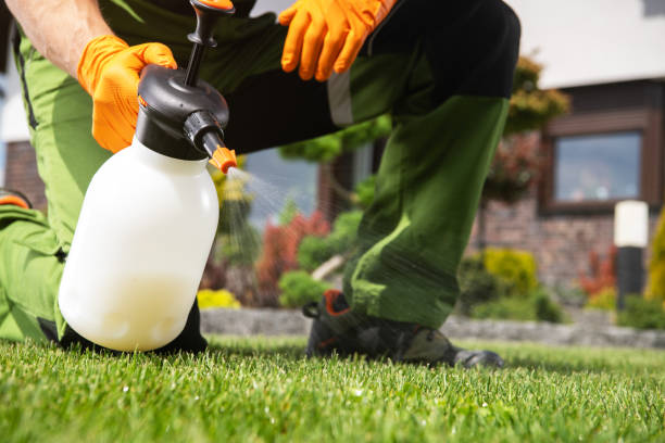 Best Exterminator Services  in Wrightwood, CA