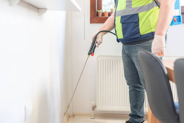 Best Affordable Pest Control Services  in Wrightwood, CA