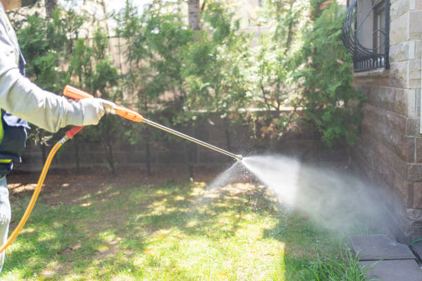 Best Pest Control Near Me  in Wrightwood, CA