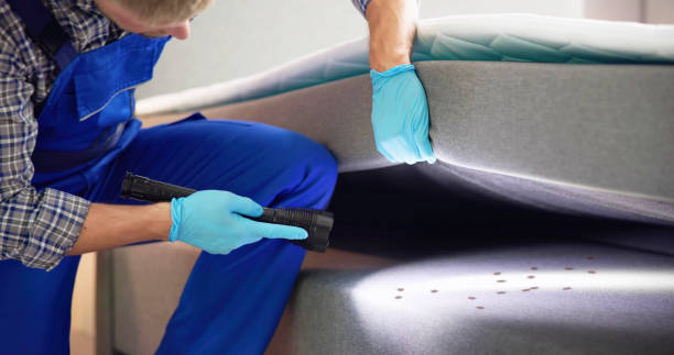 Best Wasp Removal Services  in Wrightwood, CA