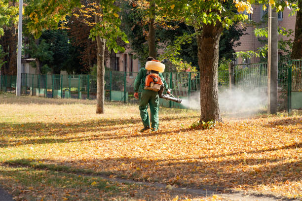 Pest Prevention Services in Wrightwood, CA