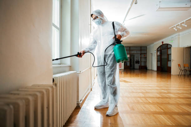 Best Exterminator Services  in Wrightwood, CA