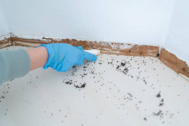 Wildlife Control Services in Wrightwood, CA